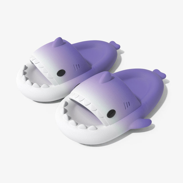 Shark Slides