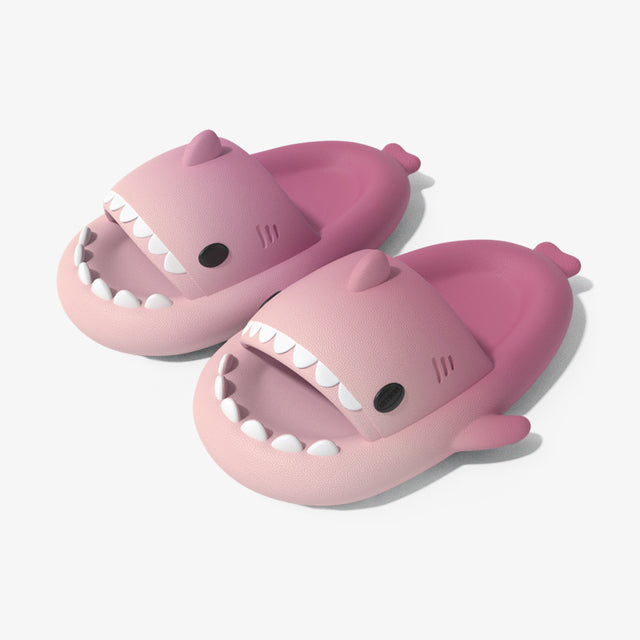 Shark Slides