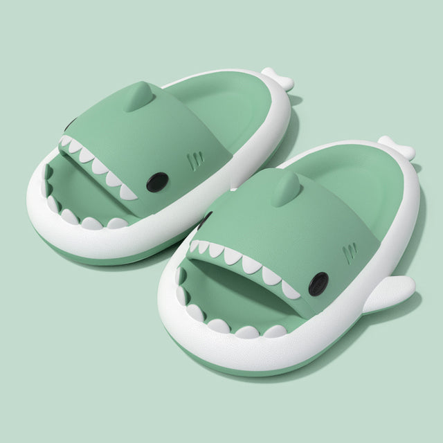 Shark Slides