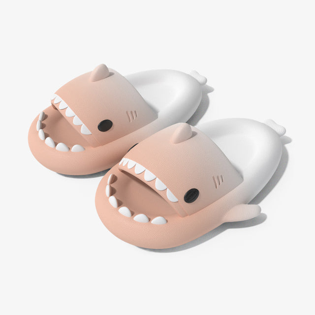 Shark Slides