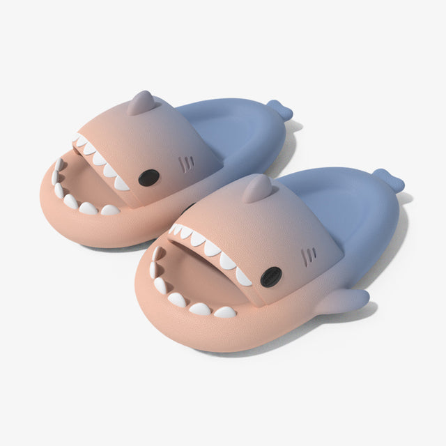 Shark Slides