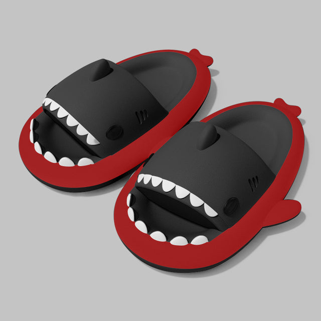 Shark Slides