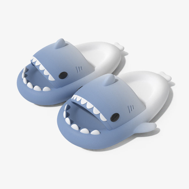 Shark Slides