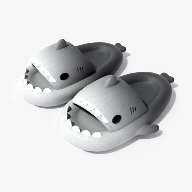 Shark Slides